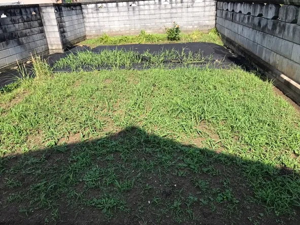 防草シート施工前