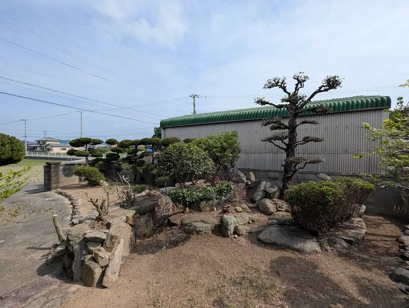 庭木剪定 施工後