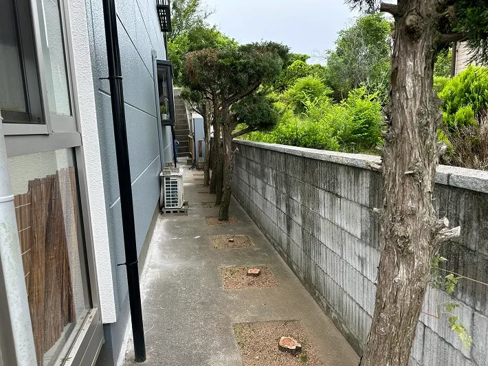 小規模伐採 施工後