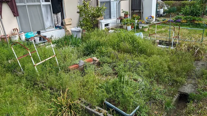 草むしり施工前
